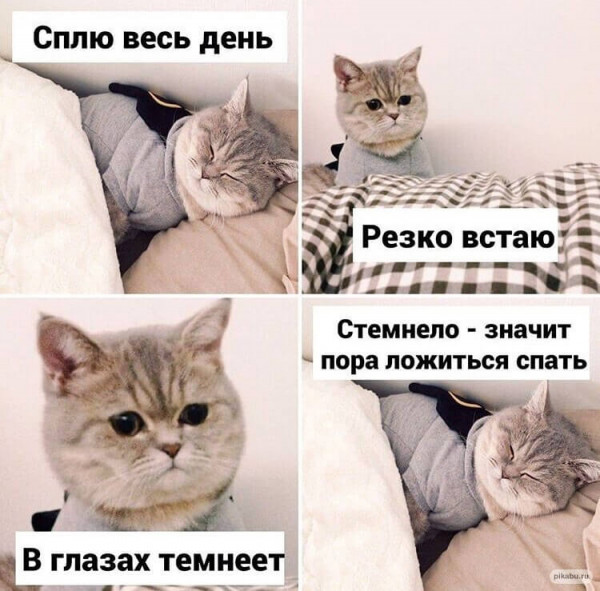 Мем, Микки Маус