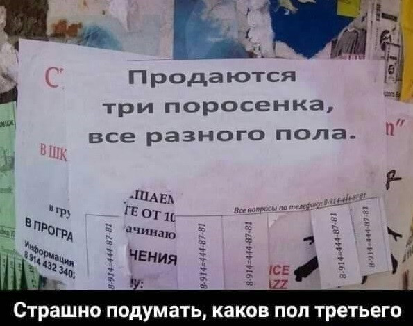 Мем: В животноводстве появился прогресс, acorn2007