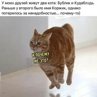 Мем, Микки Маус