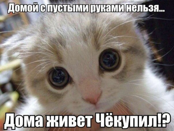 Мем, Микки Маус