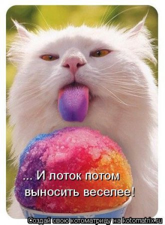 Мем, Микки Маус