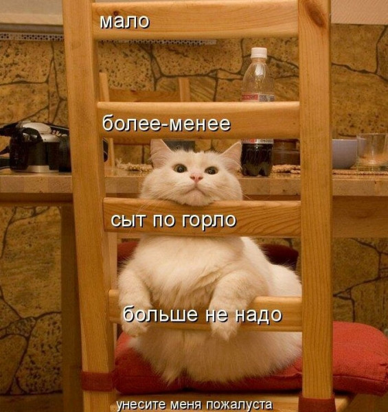 Мем, Микки Маус