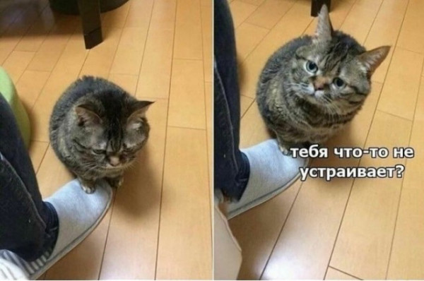 Мем, Микки Маус