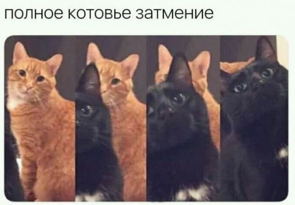 Мем, Микки Маус