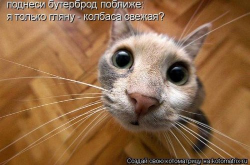 Мем, Микки Маус