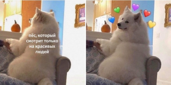 Мем, Микки Маус
