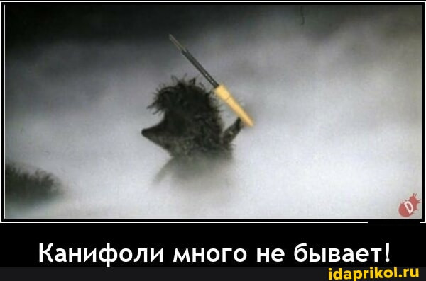 Мем, Vovanavsegda