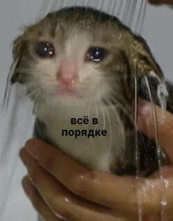 Мем, Микки Маус