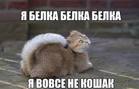 Мем, Микки Маус