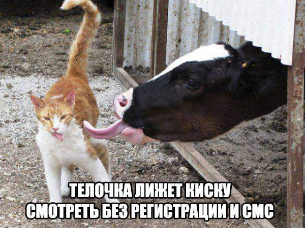 Мем, Леонид Хлыновский
