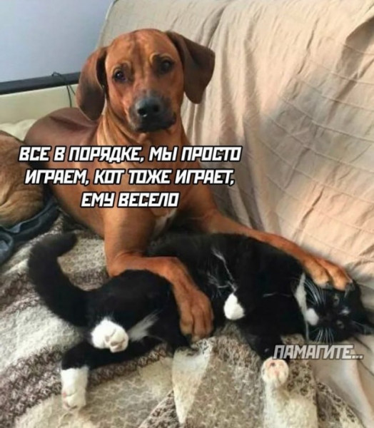 Мем