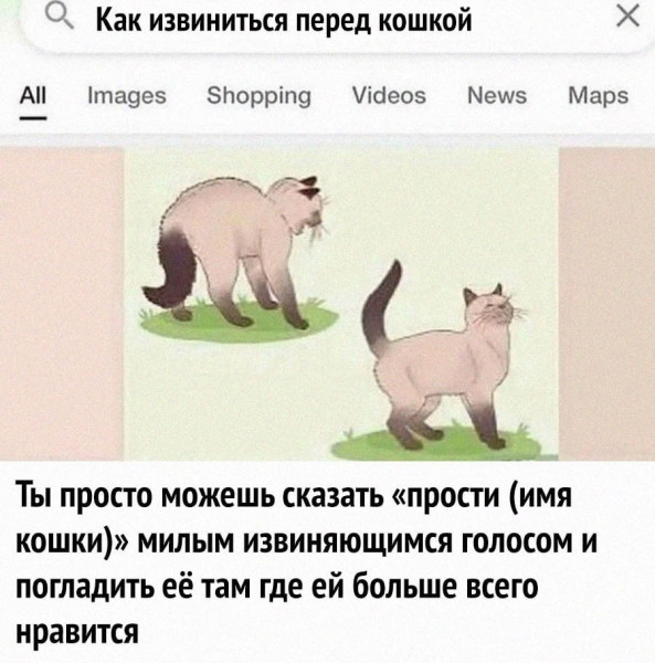 Мем: Теперь вы знаете., henh