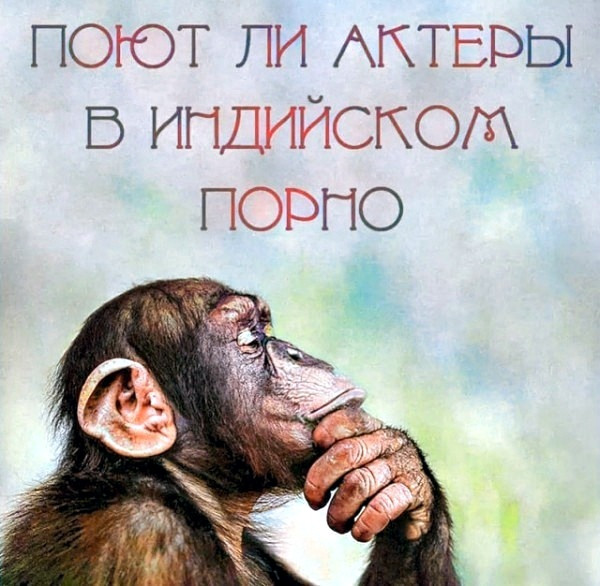 Мем: И правда?!, Miiger