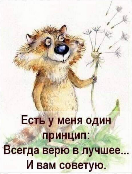 Мем, Ymir