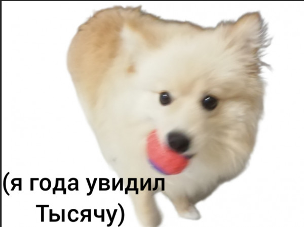 Мем: Легендарное везение, Fertuy