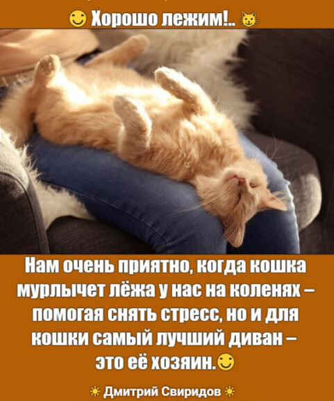 Мем
