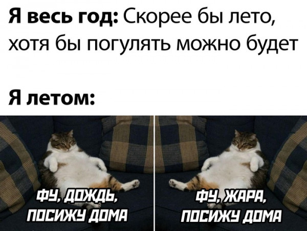 Мем, Брюттон