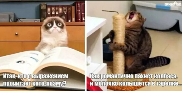Мем, Микки Маус