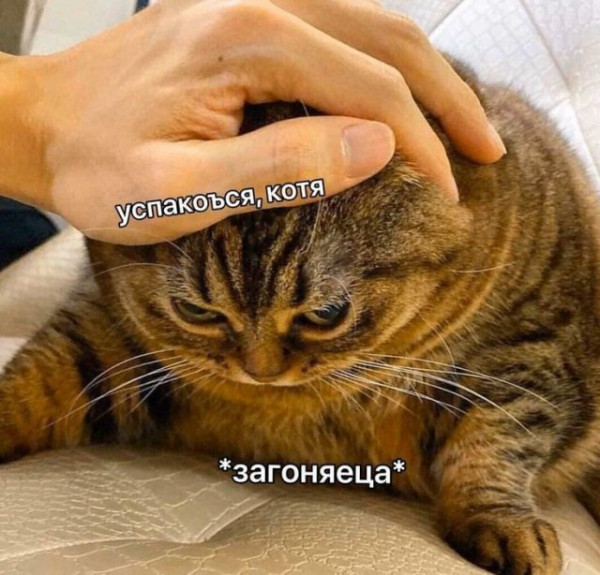 Мем, Микки Маус