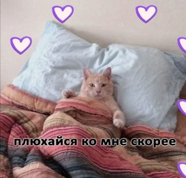 Мем, Микки Маус