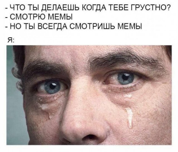 Мем, Брюттон