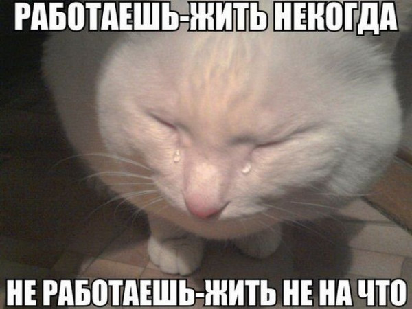 Мем, Микки Маус