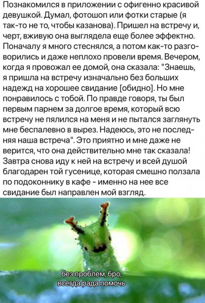 Мем: Гусеница., henh