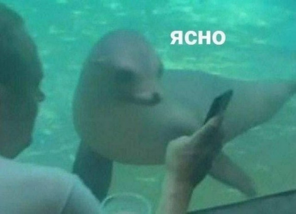 Мем, Брюттон