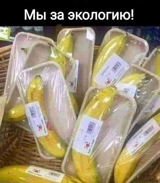 Мем, Рысь