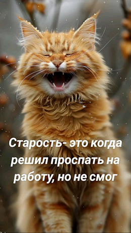 Мем, Ymir