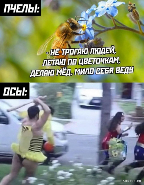 Мем, Джокер