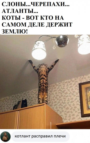 Мем, Mghost