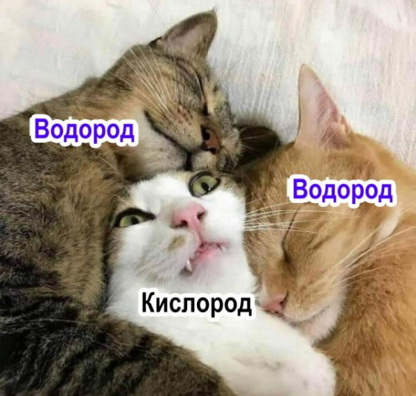 Мем, Брюттон