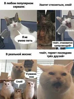Мем, Микки Маус