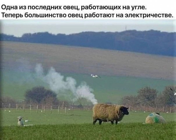 Мем, Mghost