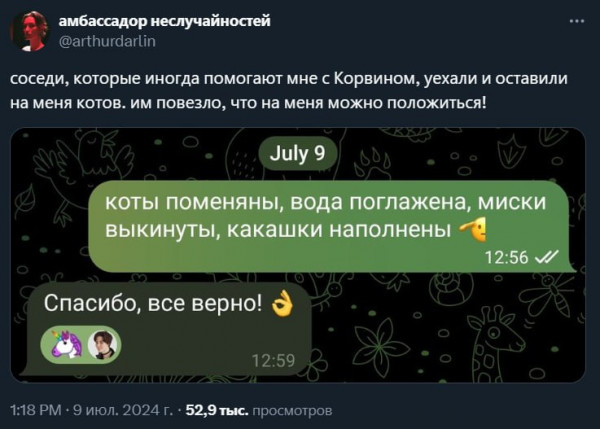 Мем: Как выглядит отчёт об идеальном уходе за котами., henh