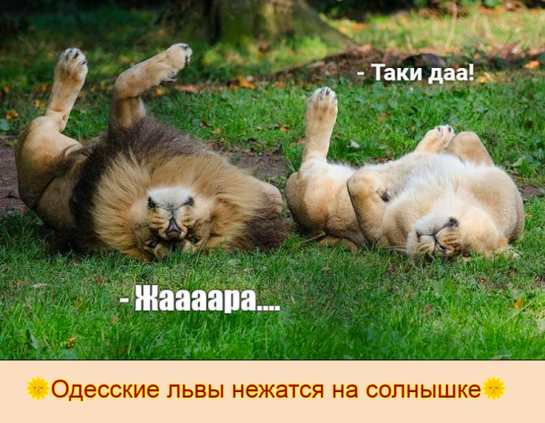 Мем