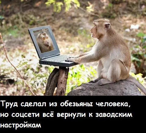 Мем: Как-то так, Лис Интересный