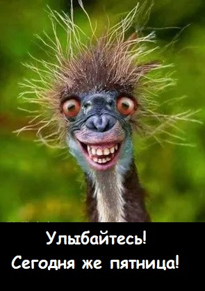 Мем: Пятничный мемчик, Лис Интересный