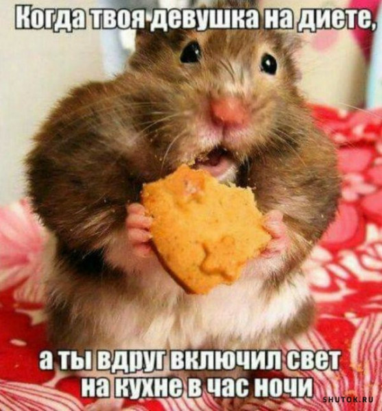 Мем, Микки Маус