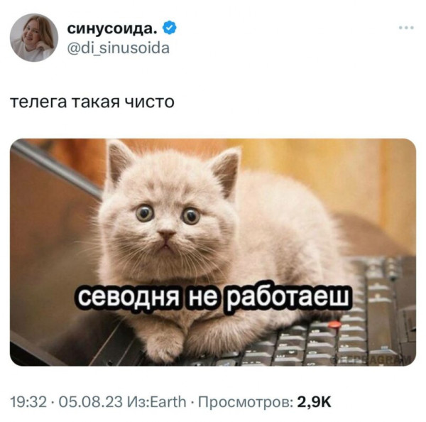 Мем, Микки Маус