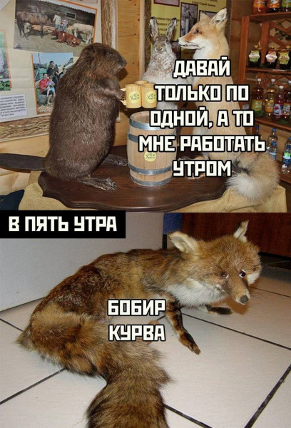 Мем: Без этого никак.., henh
