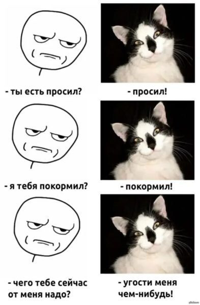 Мем, Микки Маус