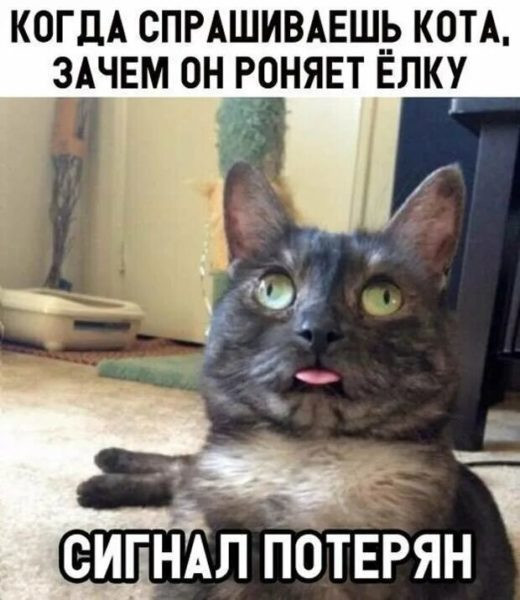 Мем, Микки Маус