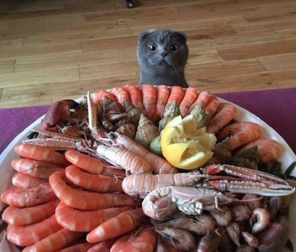 Мем, Микки Маус