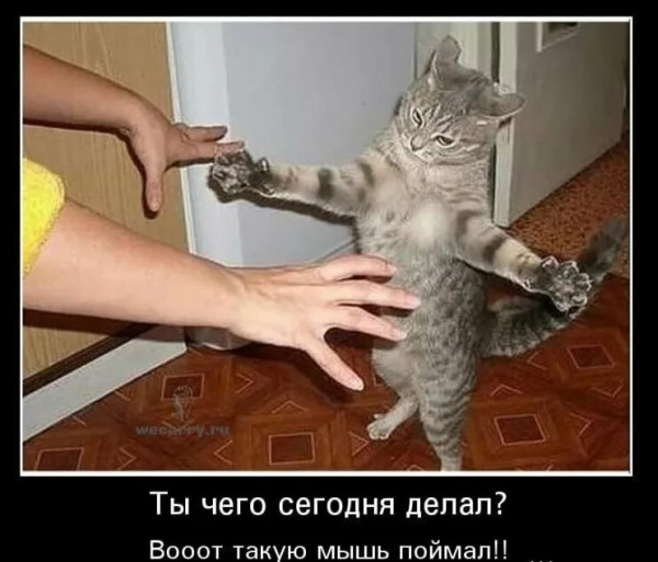 Мем, Микки Маус