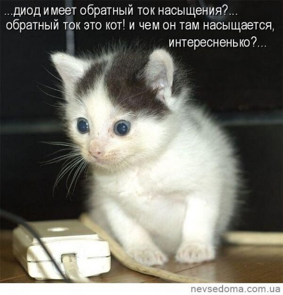 Мем, Микки Маус