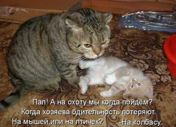 Мем, Микки Маус