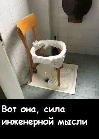 Мем, Лис Интересный