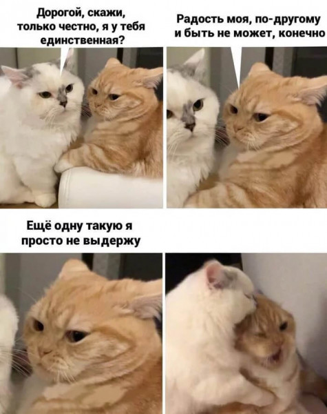 Мем, Микки Маус